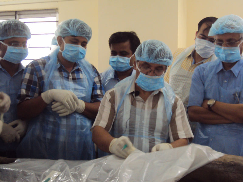 dibrugarh 1